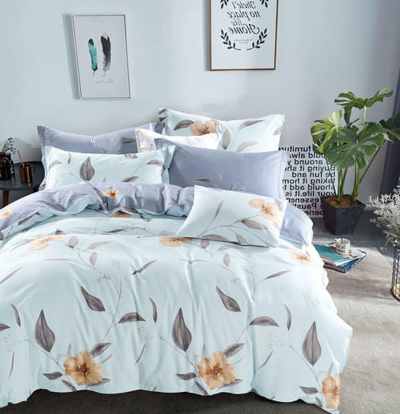 Lifestyle Collection & Home Décor